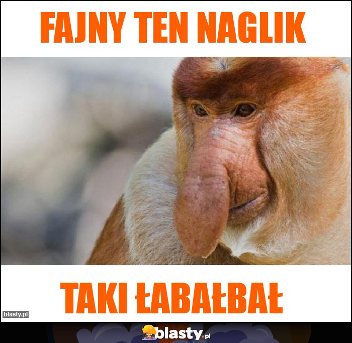 Fajny ten naglik Fajny ten naglik