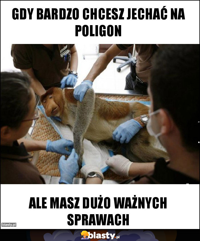 Gdy bardzo chcesz jechać na Poligon Gdy bardzo chcesz jechać na Poligon