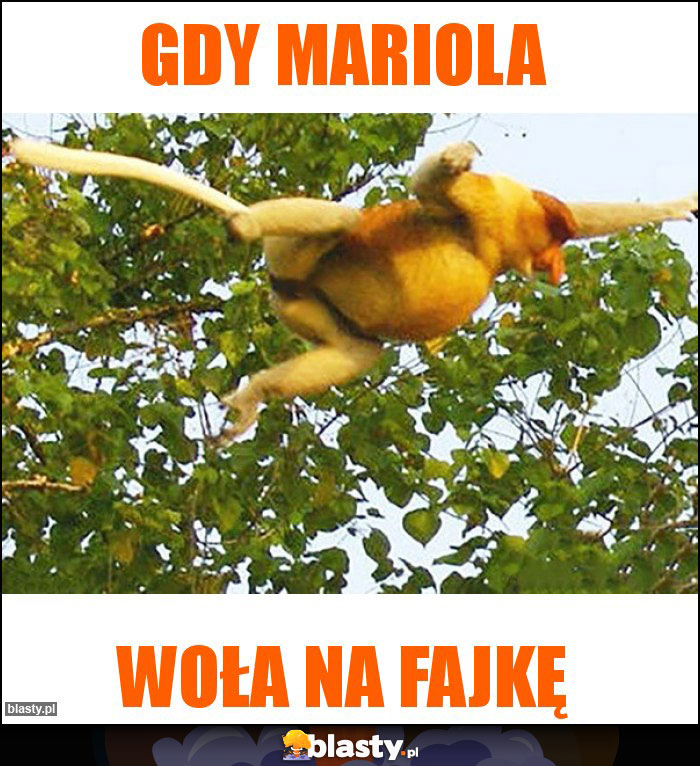 Gdy Mariola Gdy Mariola