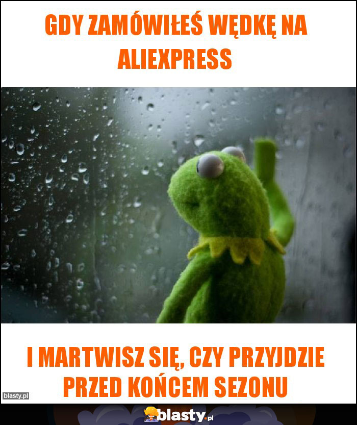 Gdy zamówiłeś wędkę na aliexpress Gdy zamówiłeś wędkę na aliexpress