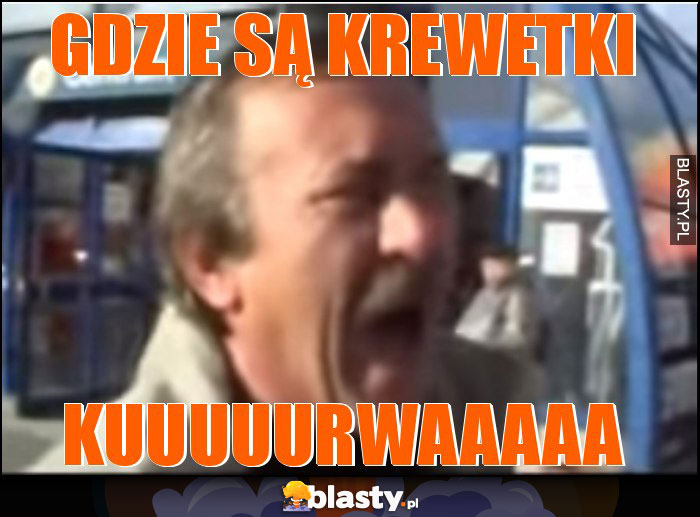 gdzie są krewetki gdzie są krewetki