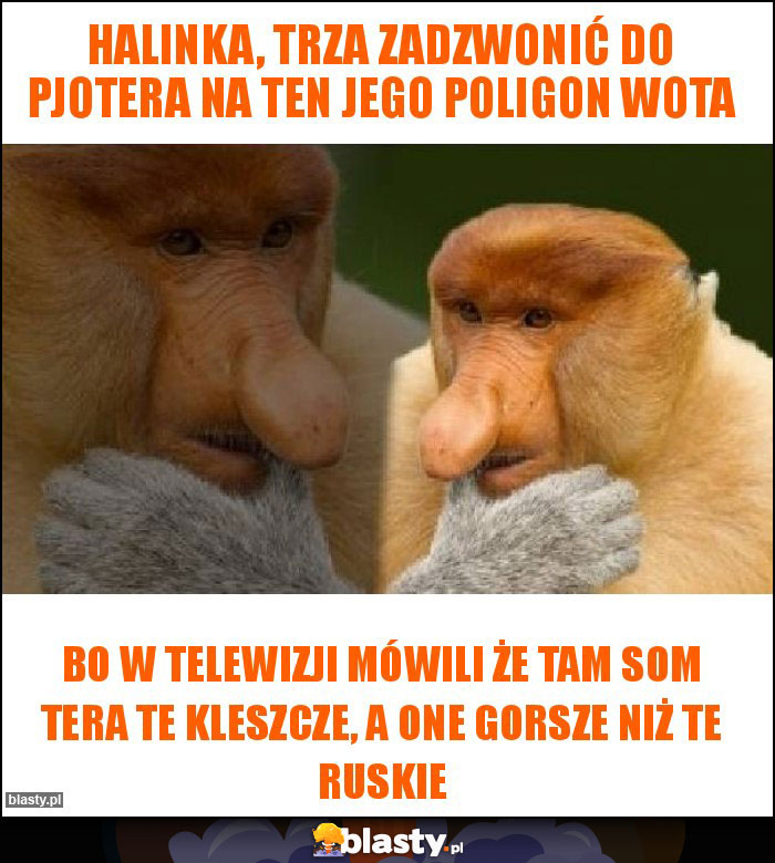 Halinka, trza zadzwonić do Pjotera na ten jego poligon wota Halinka, trza zadzwonić do Pjotera na ten jego poligon wota