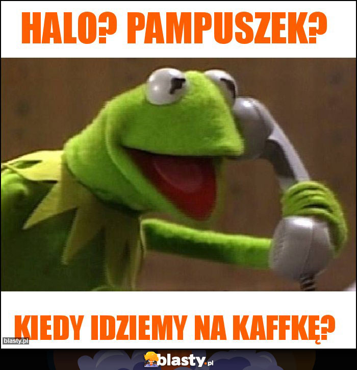 Halo? Pampuszek? Halo? Pampuszek?