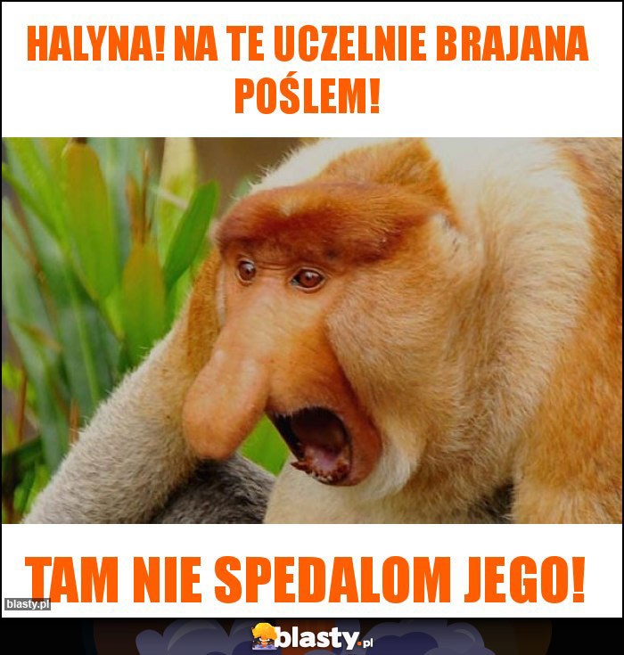 Halyna! Na te uczelnie Brajana poślem! Halyna! Na te uczelnie Brajana poślem!