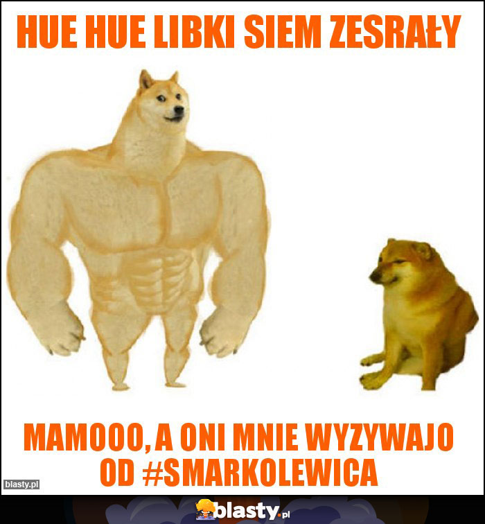 Hue hue libki siem zesrały Hue hue libki siem zesrały