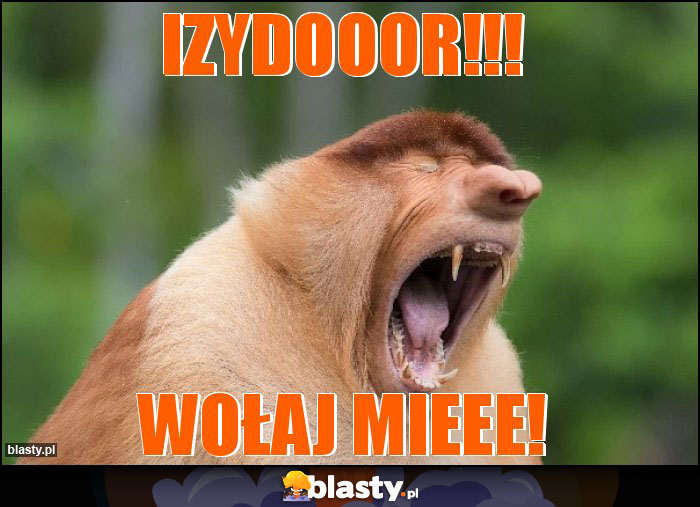 Izydooor!!! Izydooor!!!