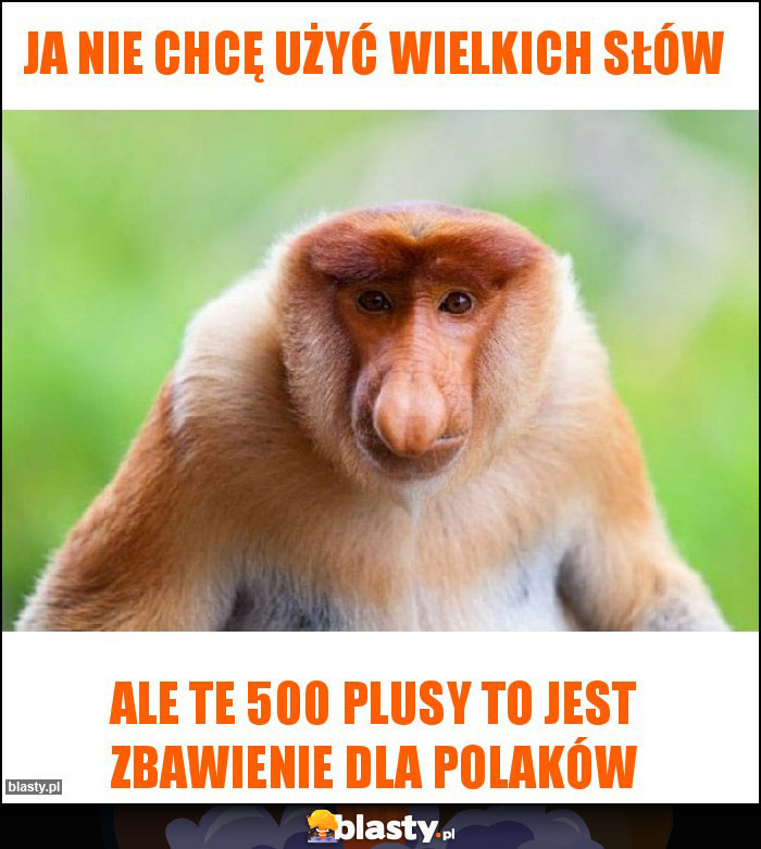 ja nie chcę użyć wielkich słów ja nie chcę użyć wielkich słów