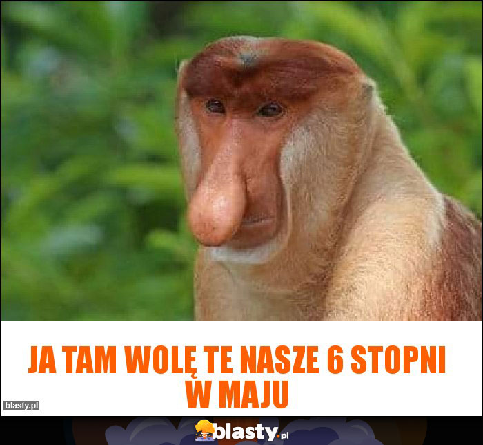 Ja tam wolę te nasze 6 stopni w maju Ja tam wolę te nasze 6 stopni w maju