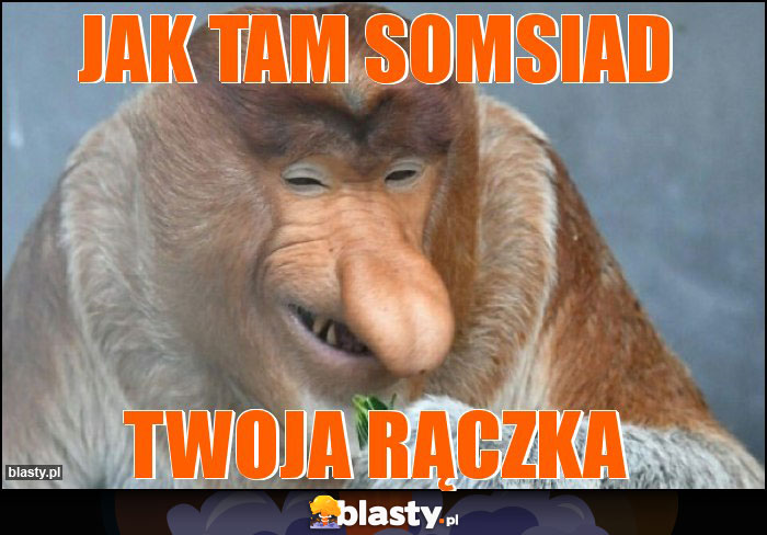 Jak tam somsiad Jak tam somsiad