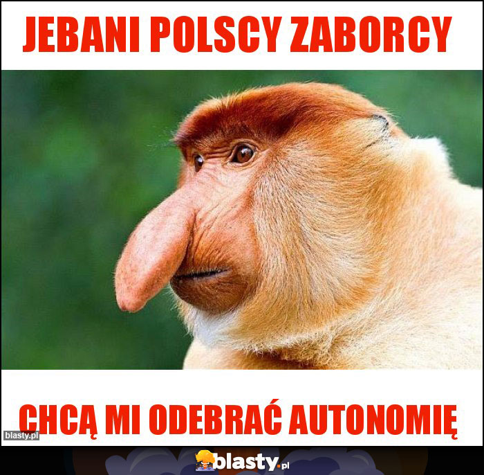 Jebani polscy zaborcy Jebani polscy zaborcy