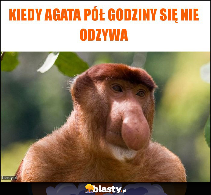 Kiedy Agata pół godziny się nie odzywa Kiedy Agata pół godziny się nie odzywa