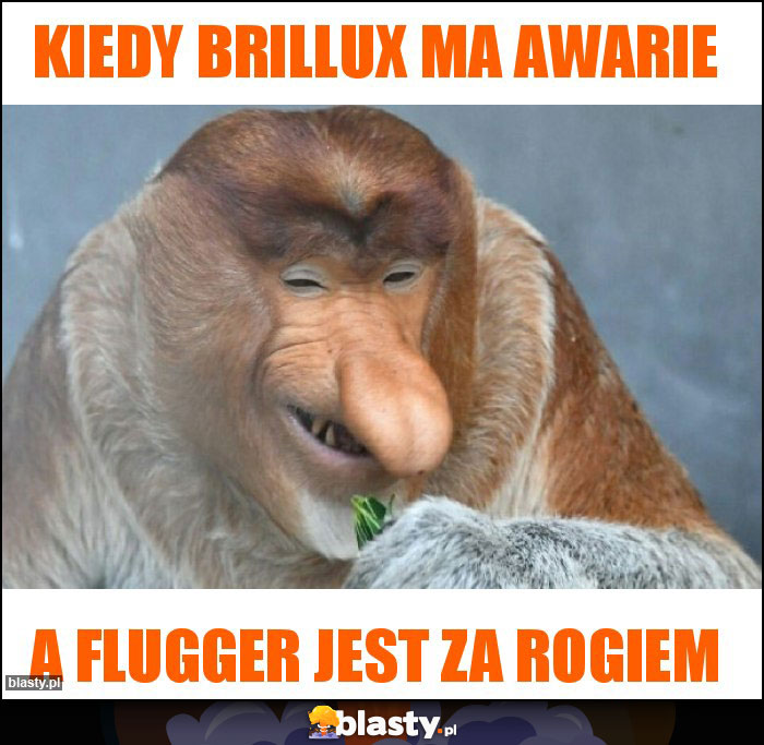 Kiedy brillux ma awarie Kiedy brillux ma awarie
