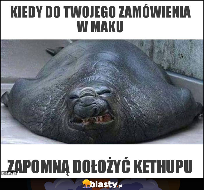 Kiedy do twojego zamówienia w maku Kiedy do twojego zamówienia w maku