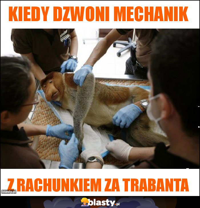 Kiedy dzwoni mechanik Kiedy dzwoni mechanik
