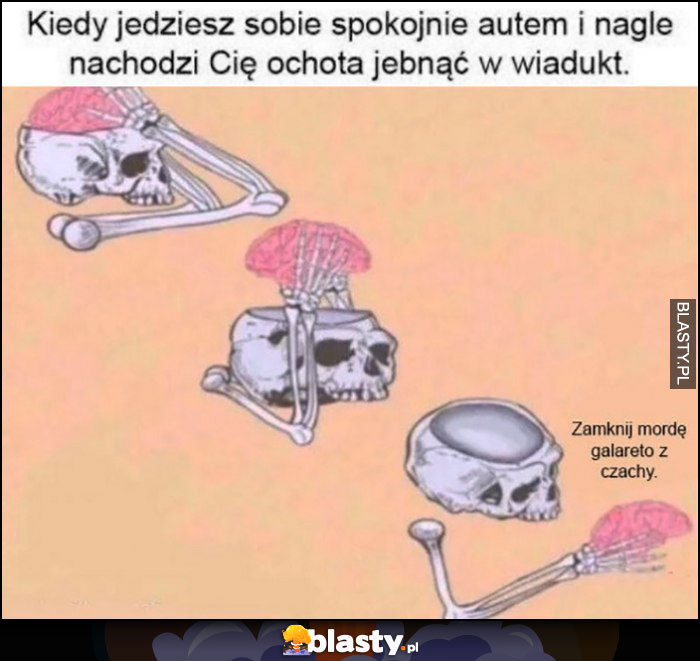 Kiedy jedziesz sobie spokojnie autem i nagle nachodzi Cię ochota walnąć w wiadukt, zamknij mordę galareto z czachy