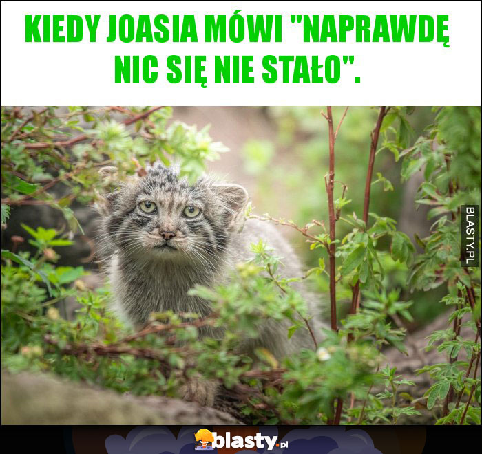 Kiedy Joasia mówi Kiedy Joasia mówi