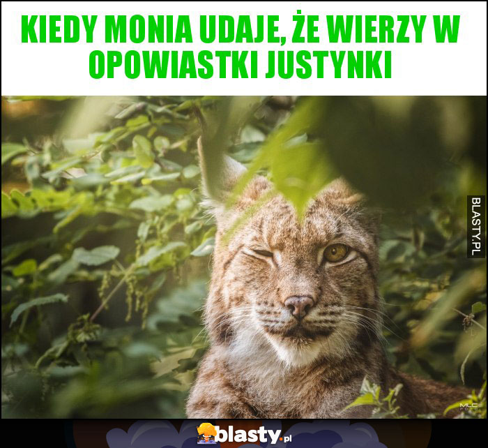 Kiedy Monia udaje, że wierzy w opowiastki Justynki Kiedy Monia udaje, że wierzy w opowiastki Justynki