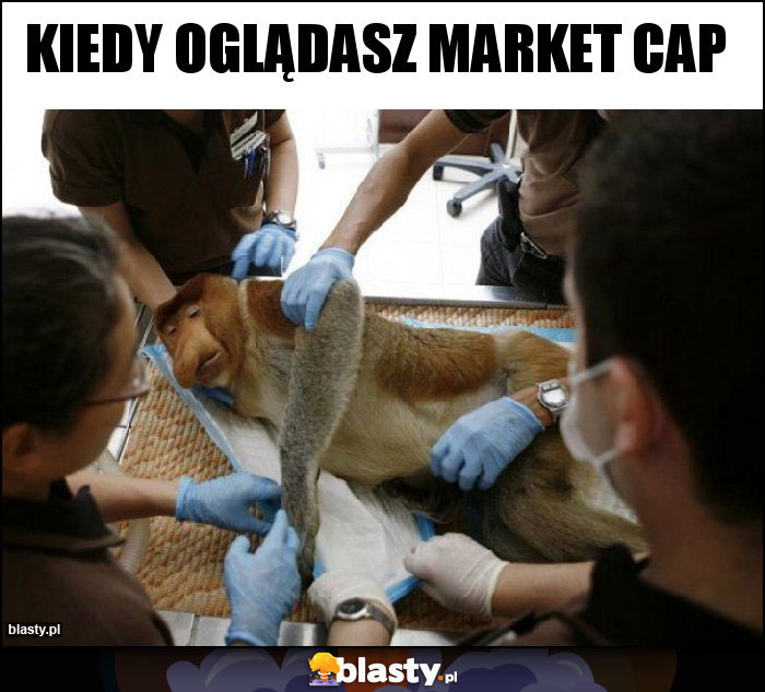 kiedy oglądasz market cap kiedy oglądasz market cap