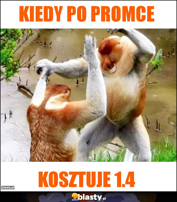 Kiedy po promce Kiedy po promce