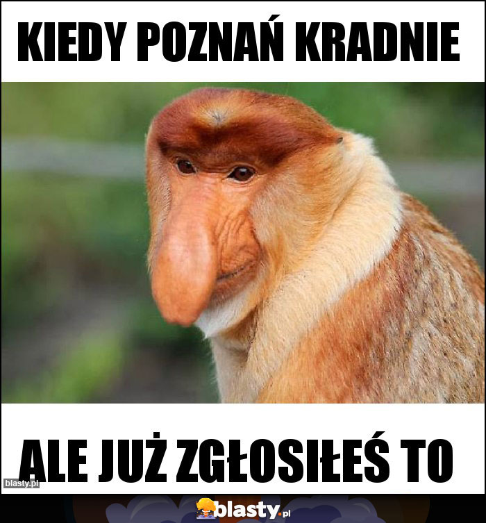 KIEDY POZNAŃ KRADNIE KIEDY POZNAŃ KRADNIE
