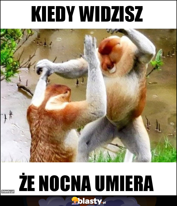 Kiedy widzisz Kiedy widzisz