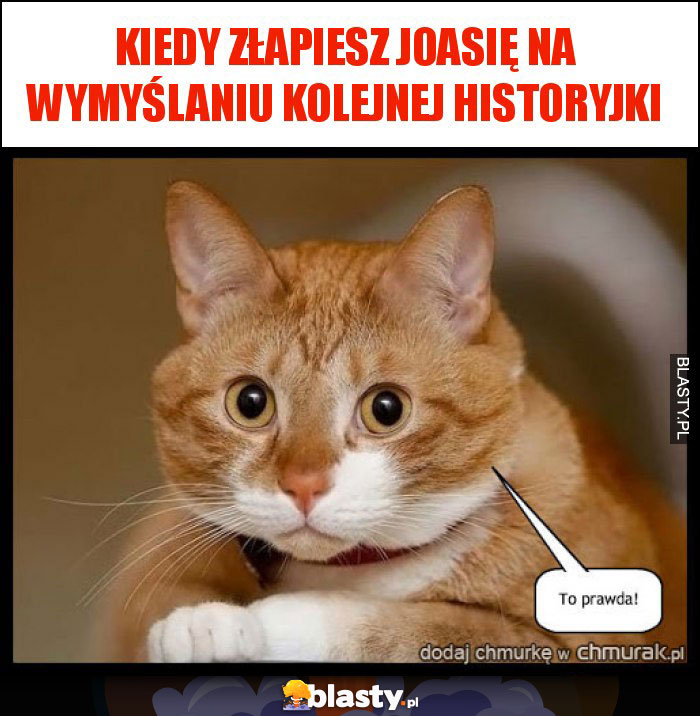 Kiedy złapiesz Joasię na wymyślaniu kolejnej historyjki Kiedy złapiesz Joasię na wymyślaniu kolejnej historyjki