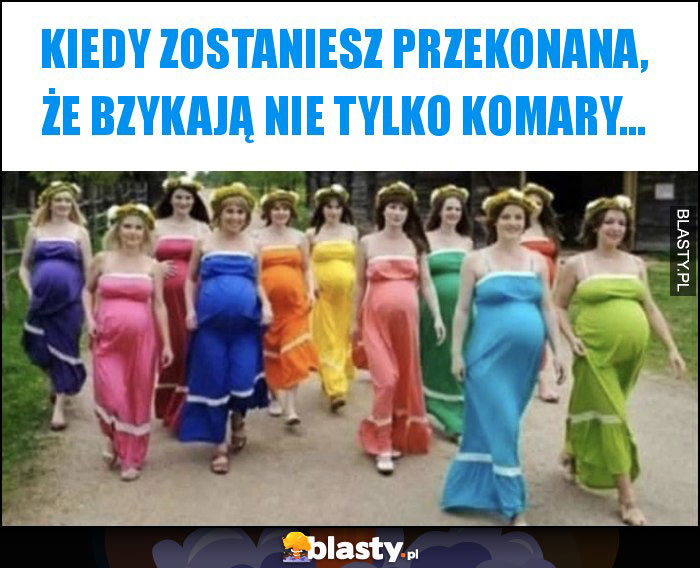 Kiedy zostaniesz przekonana, że bzykają nie tylko komary... Kiedy zostaniesz przekonana, że bzykają nie tylko komary...