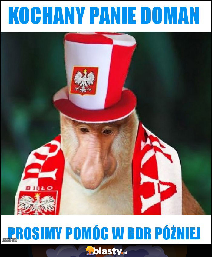 KOCHANY PANIE DOMAN KOCHANY PANIE DOMAN