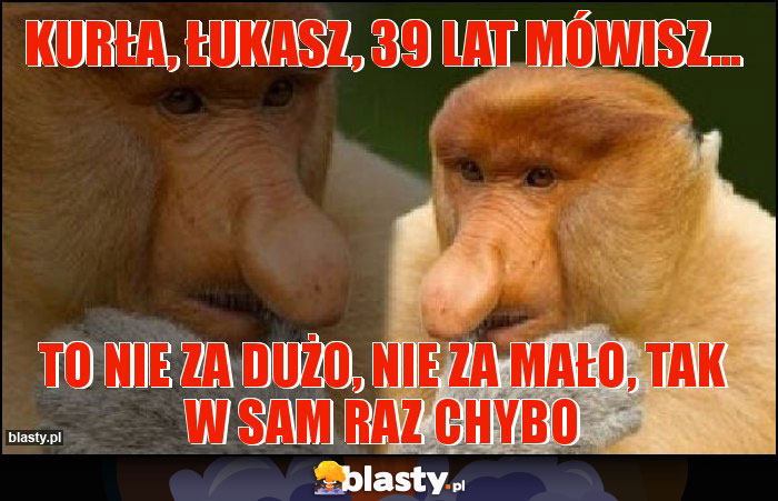 Kurła, Łukasz, 39 lat mówisz... Kurła, Łukasz, 39 lat mówisz...
