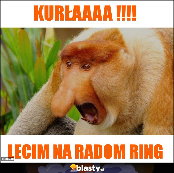Kurłaaaa !!!! Kurłaaaa !!!!