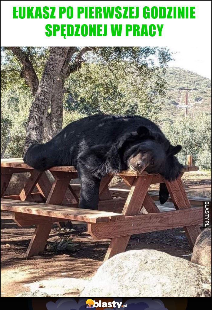 Łukasz po pierwszej godzinie spędzonej w pracy