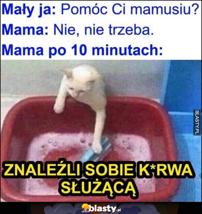 Mały ja: pomóc ci mamusiu? Nie trzeba. Mama po 10 minutach: znaleźli sobie kurna służącą kot pranie