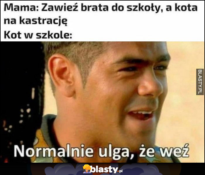 Mama: zawieź brata do szkoły, a kota na kastrację, kot w szkole: normalnie ulga, że weź