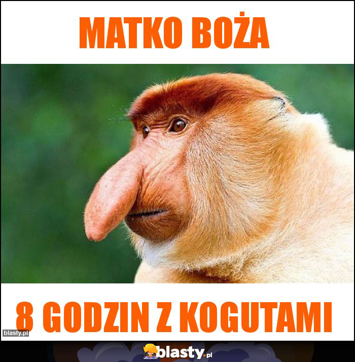Matko boża Matko boża