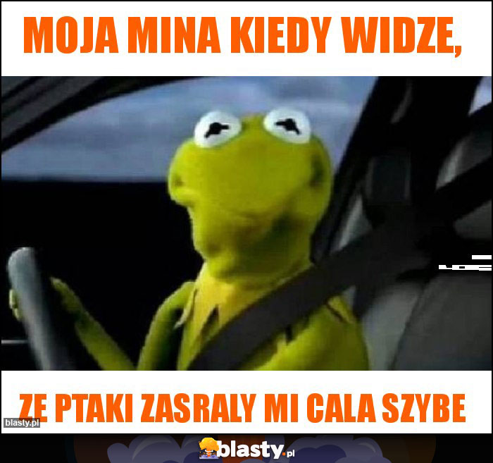 Moja mina kiedy widze, Moja mina kiedy widze,