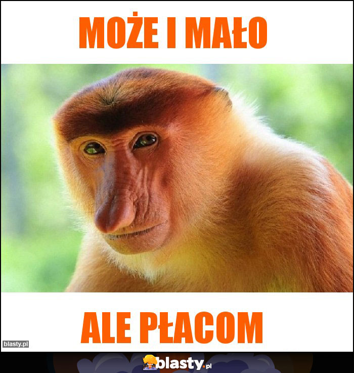 Może i mało Może i mało