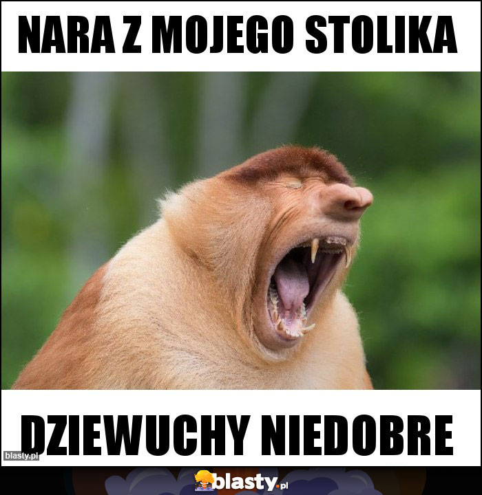 NARA Z MOJEGO STOLIKA NARA Z MOJEGO STOLIKA