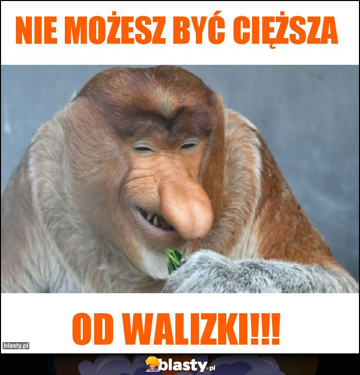 Nie możesz być cięższa Nie możesz być cięższa