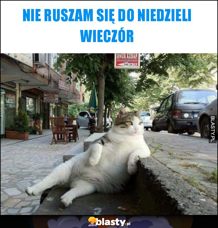 Nie ruszam się do niedzieli wieczór Nie ruszam się do niedzieli wieczór