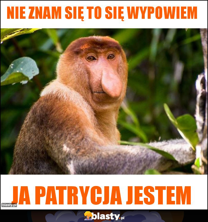 Nie znam się to się wypowiem Nie znam się to się wypowiem