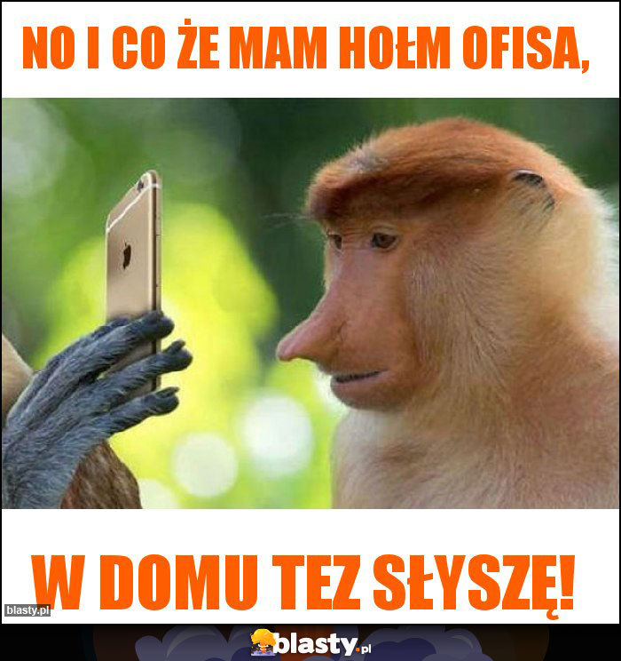No i co że mam hołm ofisa, No i co że mam hołm ofisa,