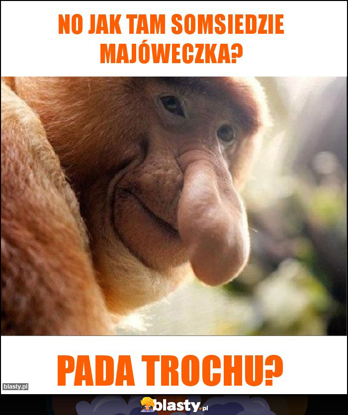 No jak tam somsiedzie majóweczka? No jak tam somsiedzie majóweczka?