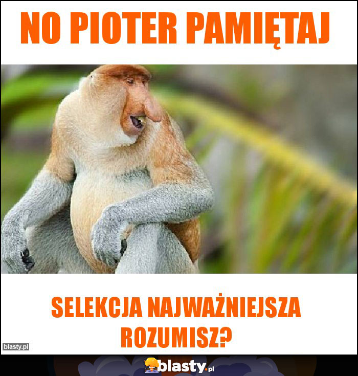 No pioter pamiętaj No pioter pamiętaj