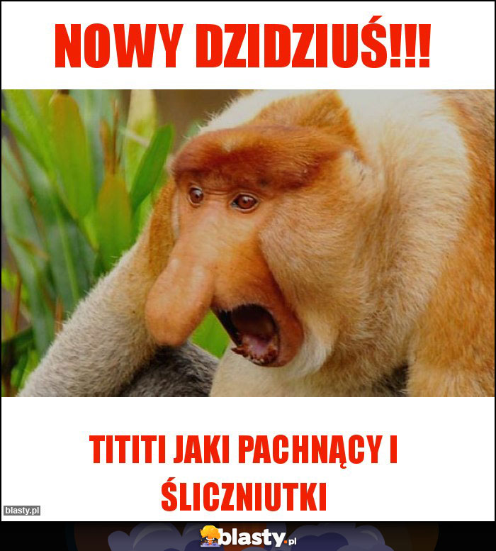 NOWY Dzidziuś!!! NOWY Dzidziuś!!!