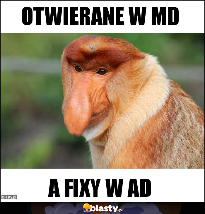 Otwierane w MD Otwierane w MD