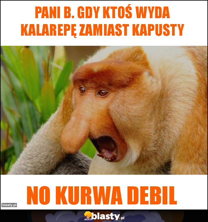 Pani B. Gdy ktoś wyda kalarepę zamiast kapusty Pani B. Gdy ktoś wyda kalarepę zamiast kapusty