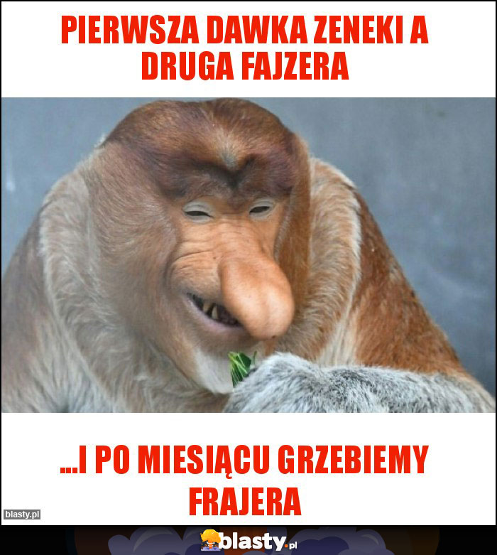 Pierwsza dawka Zeneki a druga Fajzera Pierwsza dawka Zeneki a druga Fajzera