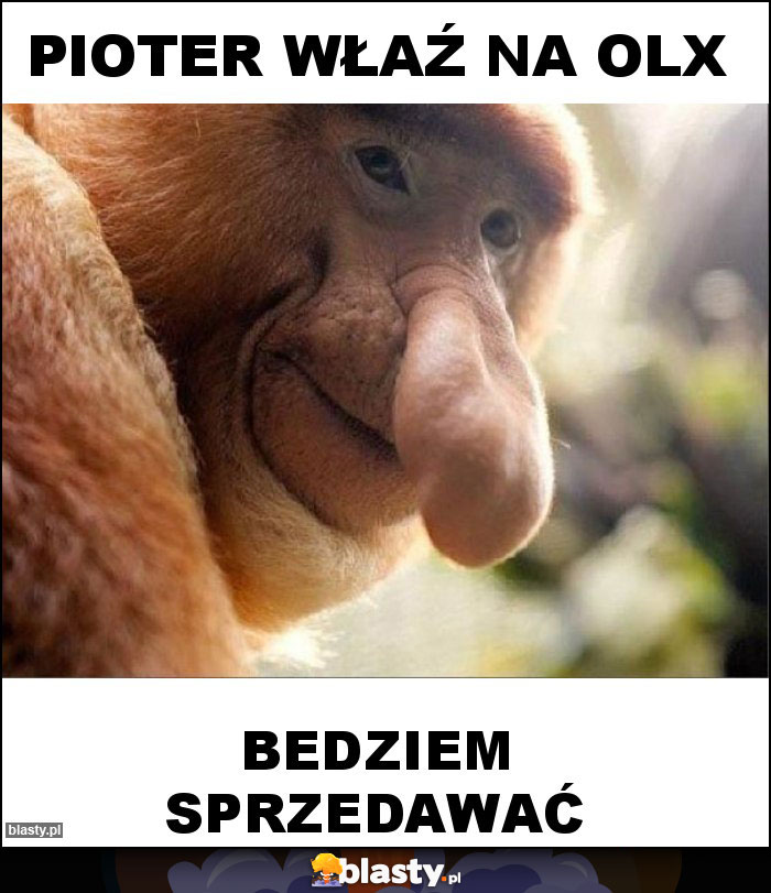 Pioter właź na OLX Pioter właź na OLX