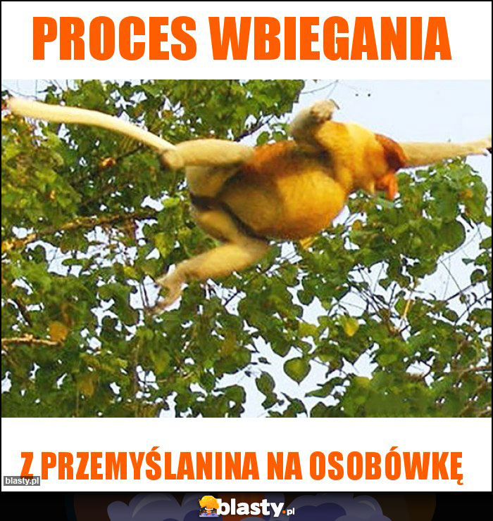Proces wbiegania Proces wbiegania