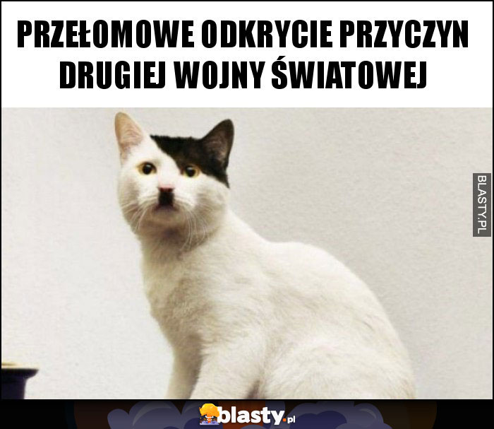 Przełomowe odkrycie przyczyn drugiej wojny światowej